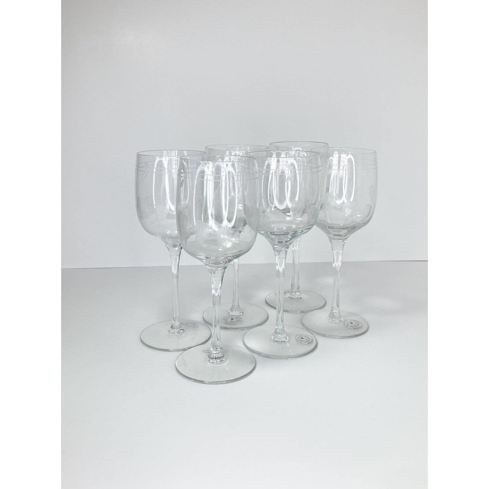 Toscany ENCORE, Set of 6 Etched Handblown Water Goblets, 7 5/8”